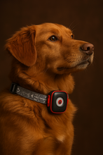 Lade das Bild in den Galerie-Viewer, NordPaw Dog GPS (Copy-test)