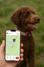 Lade das Bild in den Galerie-Viewer, NordPaw Dog GPS (Copy-test)