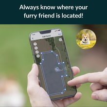 Lade das Bild in den Galerie-Viewer, NordPaw Dog GPS (Copy-test)