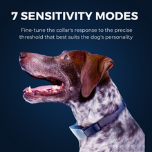 Lade das Bild in den Galerie-Viewer, 1x DoggoBark