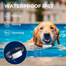 Lade das Bild in den Galerie-Viewer, 1x DoggoBark