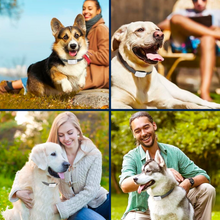 Lade das Bild in den Galerie-Viewer, 1x DoggoBark