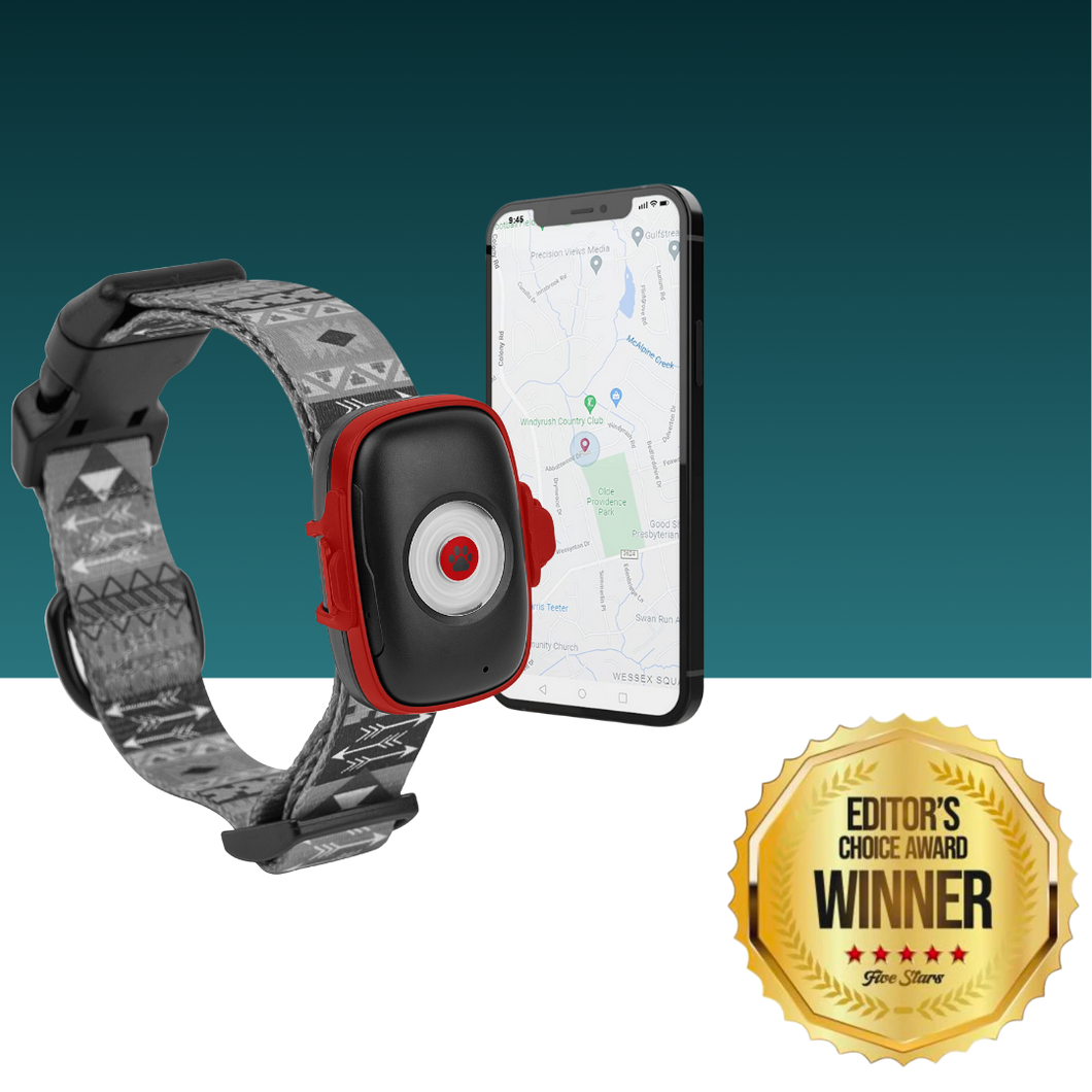 NordPaw Dog GPS (Copy-test)