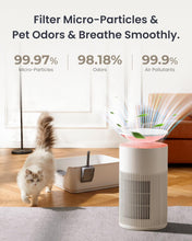 Lade das Bild in den Galerie-Viewer, Osmo AirPurify Pro
