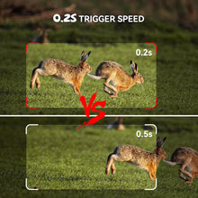 Lade das Bild in den Galerie-Viewer, Osmo WildPro
