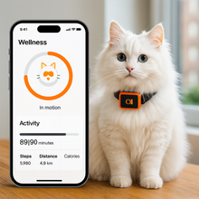 Lade das Bild in den Galerie-Viewer, KittyFind GPS
