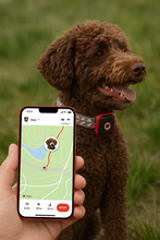 Lade das Bild in den Galerie-Viewer, NordPaw Dog GPS (Copy-test)
